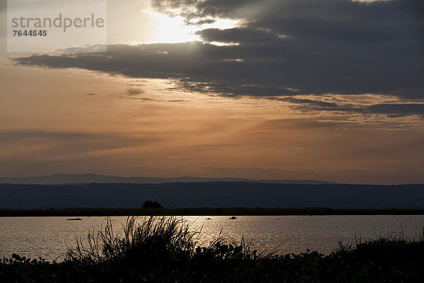 Ostafrika  Nationalpark  Wasser  Landschaftlich schön  landschaftlich reizvoll  Natur  Fluss  Afrika  Uganda