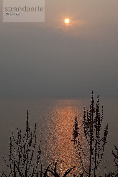 Ostafrika  Wasser  Sonnenuntergang  Meer  Afrika  Sonne  Uganda