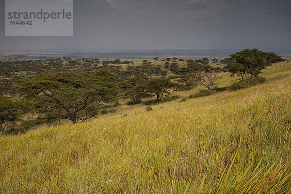 Ostafrika  Landschaft  Vulkan  Krater  Rift Valley  Kenia  Afrika  Uganda