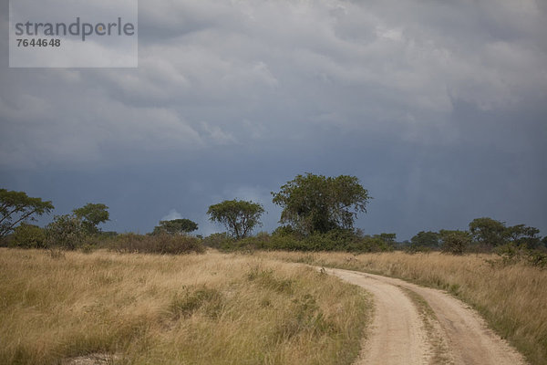 Ostafrika  Nationalpark  Landschaft  Weg  Straße  Unwetter  Afrika  Uganda
