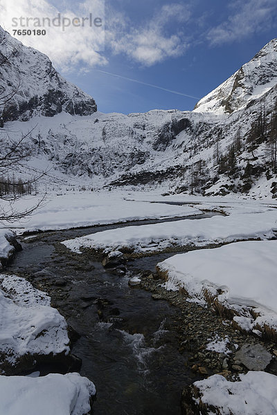 Winter am Flachmoor beim Gradenmoos im Gradental  Nationalpark Hohe Tauern  Putschall  Spittal an der Drau  Kärnten  Österreich  Europa