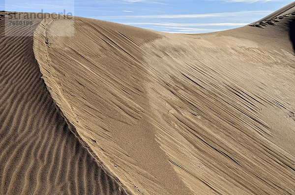 Dünenkamm  Sandgrat  Great Sand Dunes National Park  Mosca  Colorado  USA