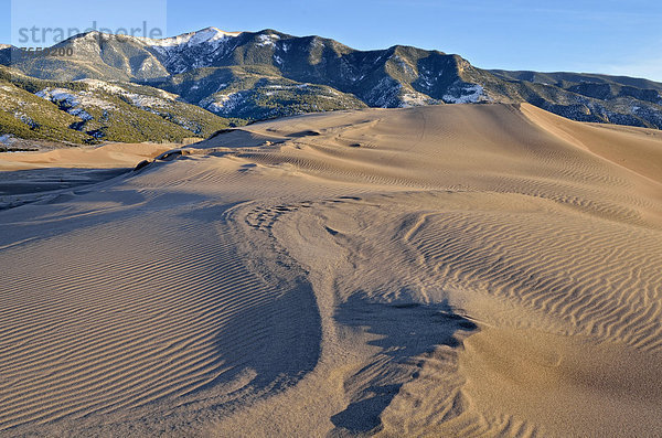 Dünenlandschaft vor den Sangre de Christo Mountains  Great Sand Dunes National Park  Mosca  Colorado  USA