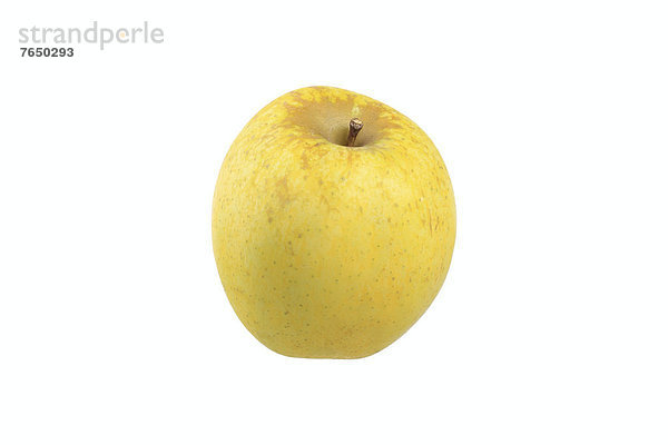 Apfel der Apfelsorte Zuccalmaglio Renette