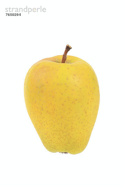 Apfel der Apfelsorte Zitronenapfel