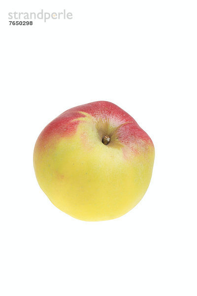 Apfel der Apfelsorte Welschiesner