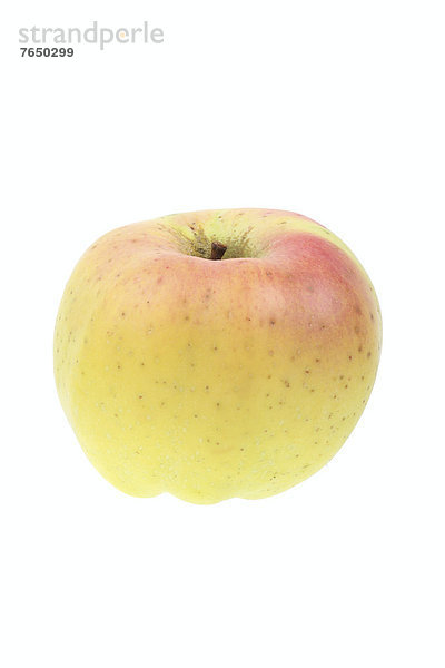 Apfel der Apfelsorte Weißer Winterkalvill