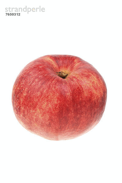 Apfel der Apfelsorte Roter Gravensteiner