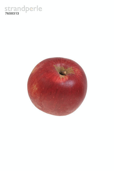 Apfel der Apfelsorte Roter Bürgstädter