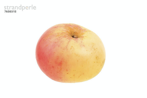 Apfel der Apfelsorte Pflasterapfel