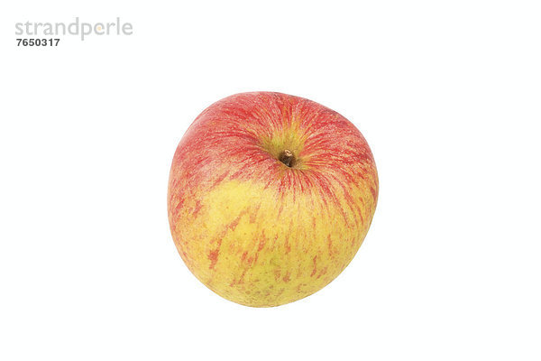 Apfel der Apfelsorte Geheimrat Breuhan