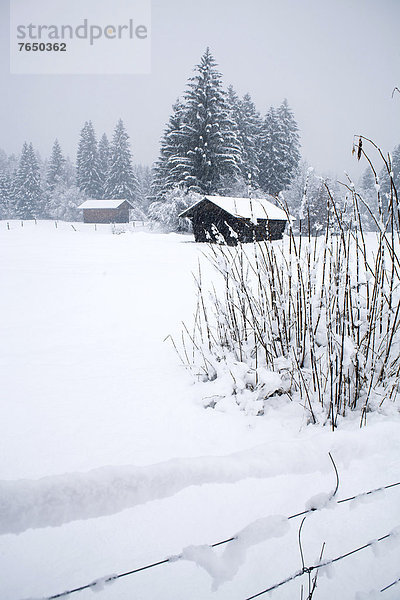 Verschneite Holzhütte  Garmisch-Partenkirchen  Bayern  Deutschland  Europa