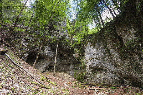 Europa  Palast  Schloß  Schlösser  Tal  Donau  Höhle  Baden-Württemberg  unterhalb  Deutschland