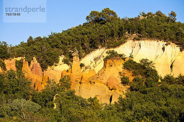 Frankreich  Provence - Alpes-Cote d Azur  Vaucluse