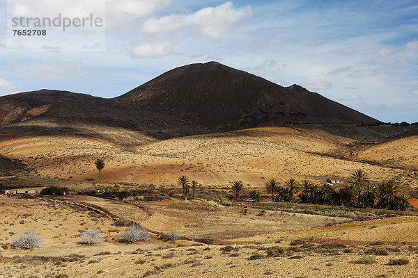 Europa  Landschaft  Wüste  Kanaren  Kanarische Inseln  Fuerteventura  Spanien
