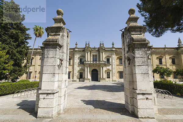 Europa  Sevilla  Andalusien  Spanien