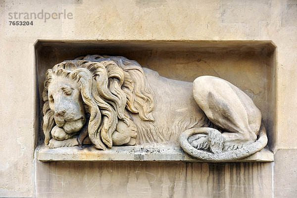 Denkmal  Löwe  Panthera leo  Europa  Skulptur  schlafen  Krieg  Baden-Württemberg  Deutschland  Unabhängigkeit