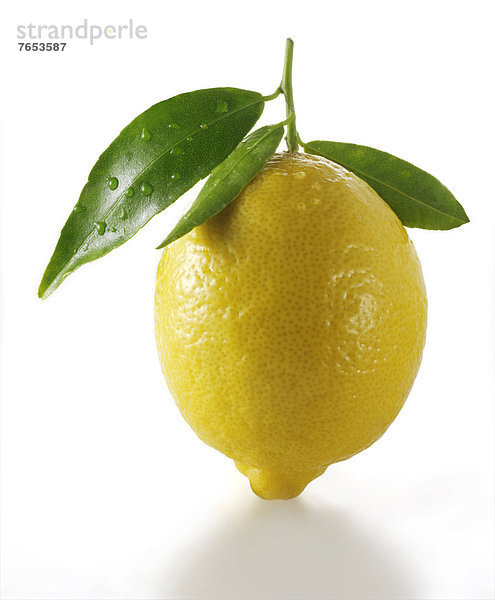 Frische Zitrusfrucht Zitrone