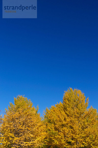 Himmel blau