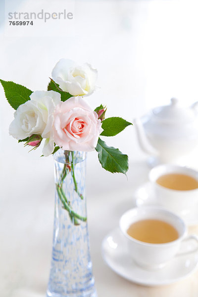 Rose  Blumenvase  Gewürz  Tee