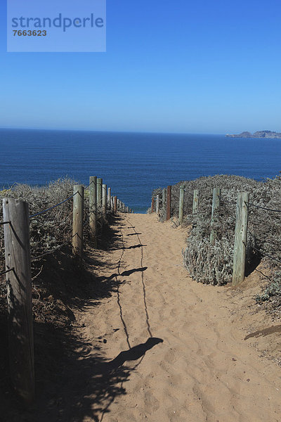 gehen  Weg  Meer  Sand