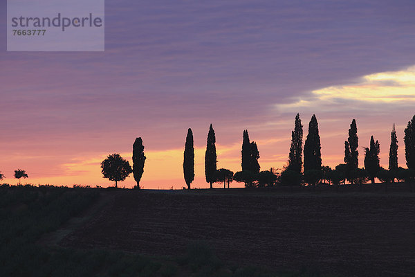 Ländliches Motiv  ländliche Motive  Sonnenuntergang  Italienisch