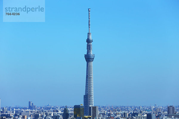 Stadtansicht  Stadtansichten  Baum  Himmel  Tokyo  Hauptstadt