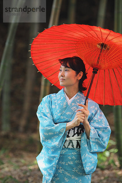 Frau  Sonnenschirm  Schirm  Kimono