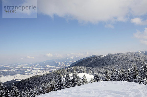 Gipfelblick vom Schwarzenberg auf tief verschneite Voralpenlandschaft und Chiemgauer Alpen