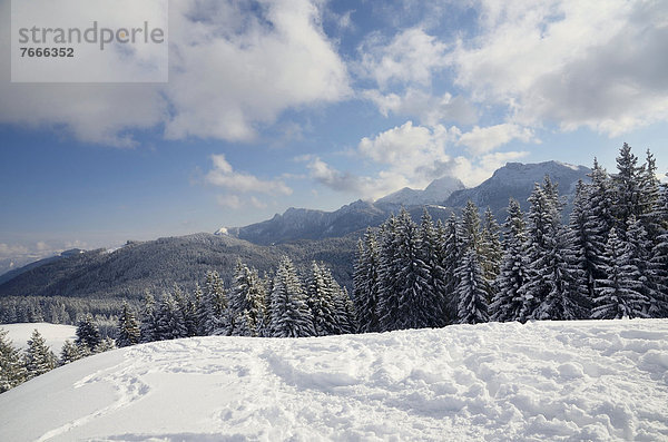 Gipfelblick vom Schwarzenberg auf tief verschneite Voralpenlandschaft und Wendelsteingebirge