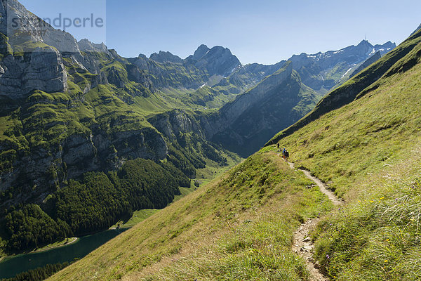 Wanderpfad im Alpsteingebiet oberhalb des Seealpsees  Wasserauen  Appenzell Innerrhoden  Schweiz  Europa  ÖffentlicherGrund