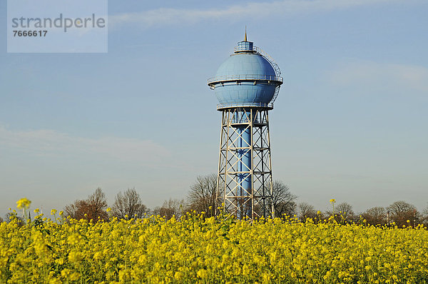 Historischer Wasserturm  Industriedenkmal  Rapsfeld  Ahlen  Münsterland  Nordrhein-Westfalen  Deutschland  Europa  ÖffentlicherGrund