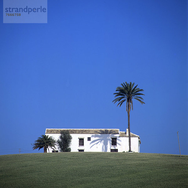 Europa Wohnhaus Baum Hügel hoch oben Andalusien Spanien