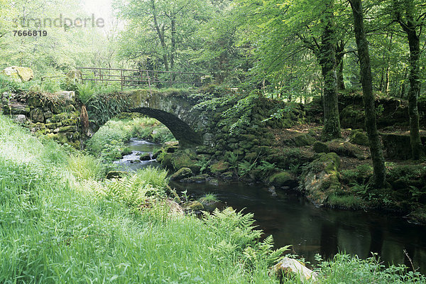 Steinerne Brücke und Fluss  Parc Naturel RÈgional de Millevaches en Limousin  Regionaler Naturpark Millevaches en Limousin  CorrËze  Frankreich  Europa