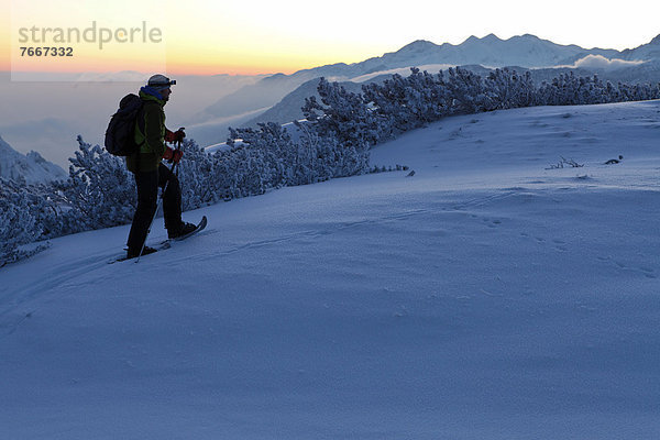 Ein Mann bei einer Schneeschuhtour am Torrener Joch  Blick zum Grimming  Krippenstein  Plassen  Berchtesgadener Land  Bayern  Deutschland  Europa