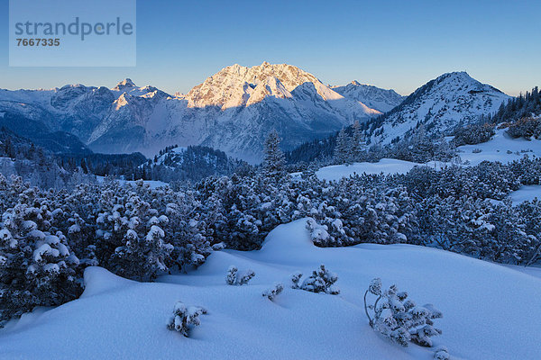 Blick vom Torrener Joch zum Jenner  Hochkalter  Watzmann  Hundstod  Steinernes Meer  Berchtesgadener Land  Bayern  Deutschland  Europa