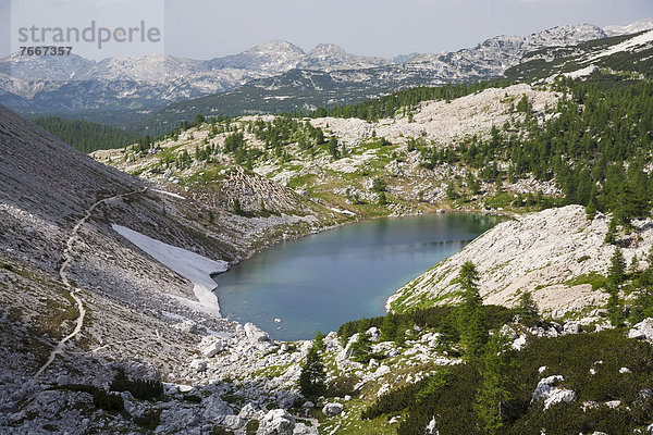 Bergsee Veliko Jezero  Sieben-Seen-Tal  Nationalpark Triglav  Slowenien  Europa