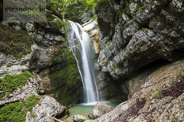 Slap Mostnica  Mostnica-Wasserfall  Nationalpark Triglav  Slowenien  Europa