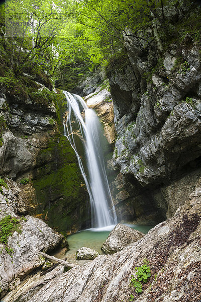 Slap Mostnica  Mostnica-Wasserfall  Nationalpark Triglav  Slowenien  Europa