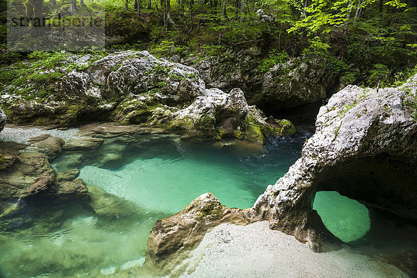 Sloncek - der Elefant  natürliche Formation in der Mostnica-Klamm  Nationalpark Triglav  Slowenien  Europa