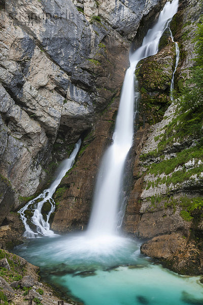 Savica-Wasserfall  Nationalpark Triglav  Slowenien  Europa