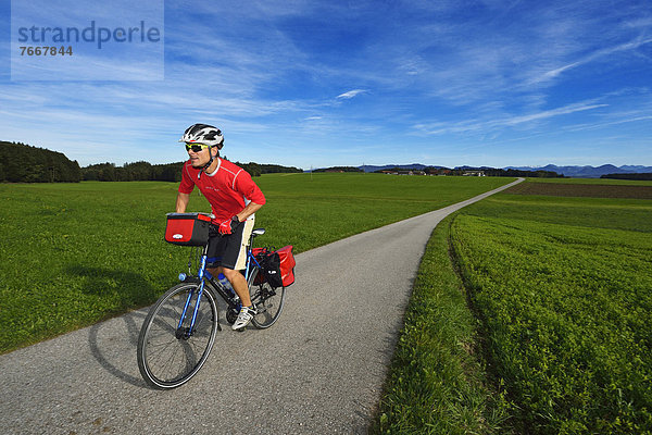 Radfahrer bei Schalkham  Trumer Seen-Route  Salzburger Seenland  Salzburg  Österreich  Europa