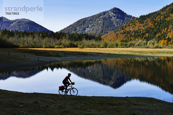 Radfahrer am Mittersee  Seegatterl  Reit im Winkl  Chiemgau  Oberbayern  Bayern  Deutschland  Europa