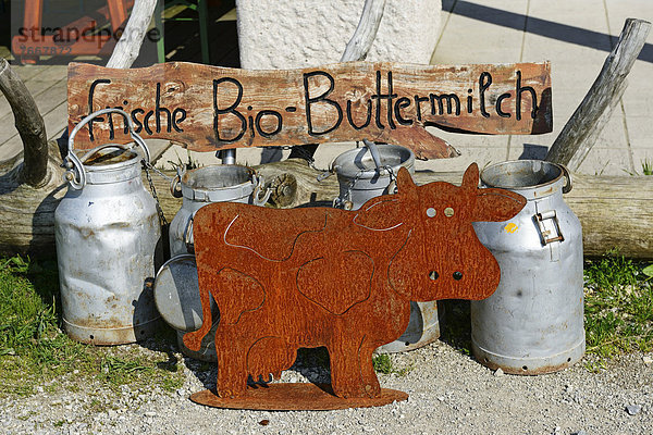 Milchkannen vor der Sonnenalm  Schild Frische Bio-Buttermilch  Kampenwand  Chiemgau  Oberbayern  Bayern  Deutschland  Europa