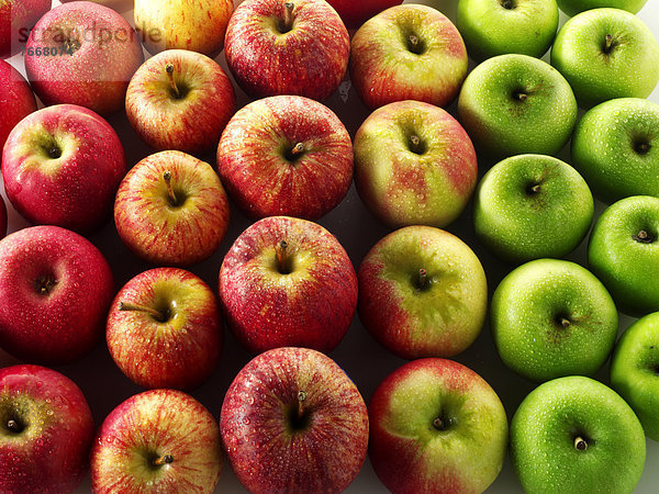 Frische Äpfel  verschiedene Sorten