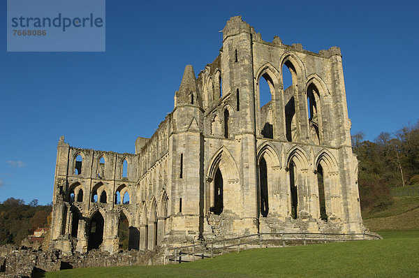 Rievaulx Abbey  Hauptkirche  North Yorkshire  England  Großbritannien  Europa
