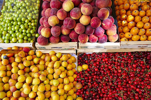 Frische Pfirsiche  Aprikosen und Kirschen auf einem Obststand  Wochenmarkt  Syros  Griechenland  Europa