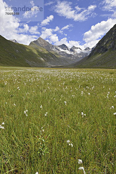 Rotmoostal  hinten die Ötztaler Alpen  Tirol  Österreich  Europa