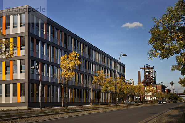 Neue Buerogebäude vor dem denkmalgeschützten Hochofen 5 von Phoenix West  Dortmund  Nordrhein-Westfalen  Deutschland  Europa  ÖffentlicherGrund
