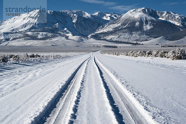 Spur  Schnee  Reifen  Autoreifen